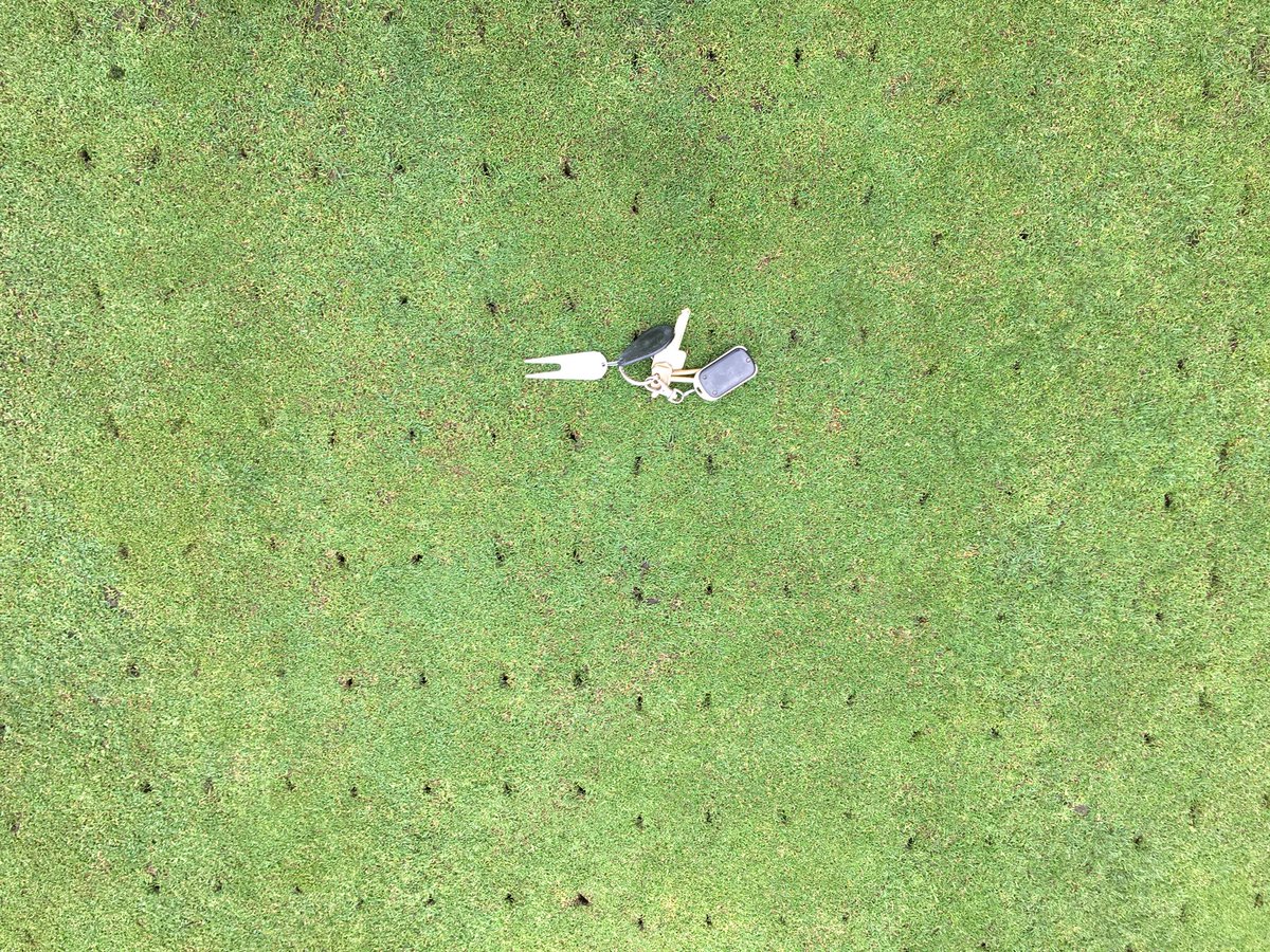 HindleyHGC's tweet photo. Greens, fairways and rough round fairways all being cut followed up by a rake on bunkers. Greens recovering nicely less than 48hrs after a verti drain #Golf #summer #aeration. Photo in same spot on green #massivedifference #recovery https://t.co/69mnXudacQ
