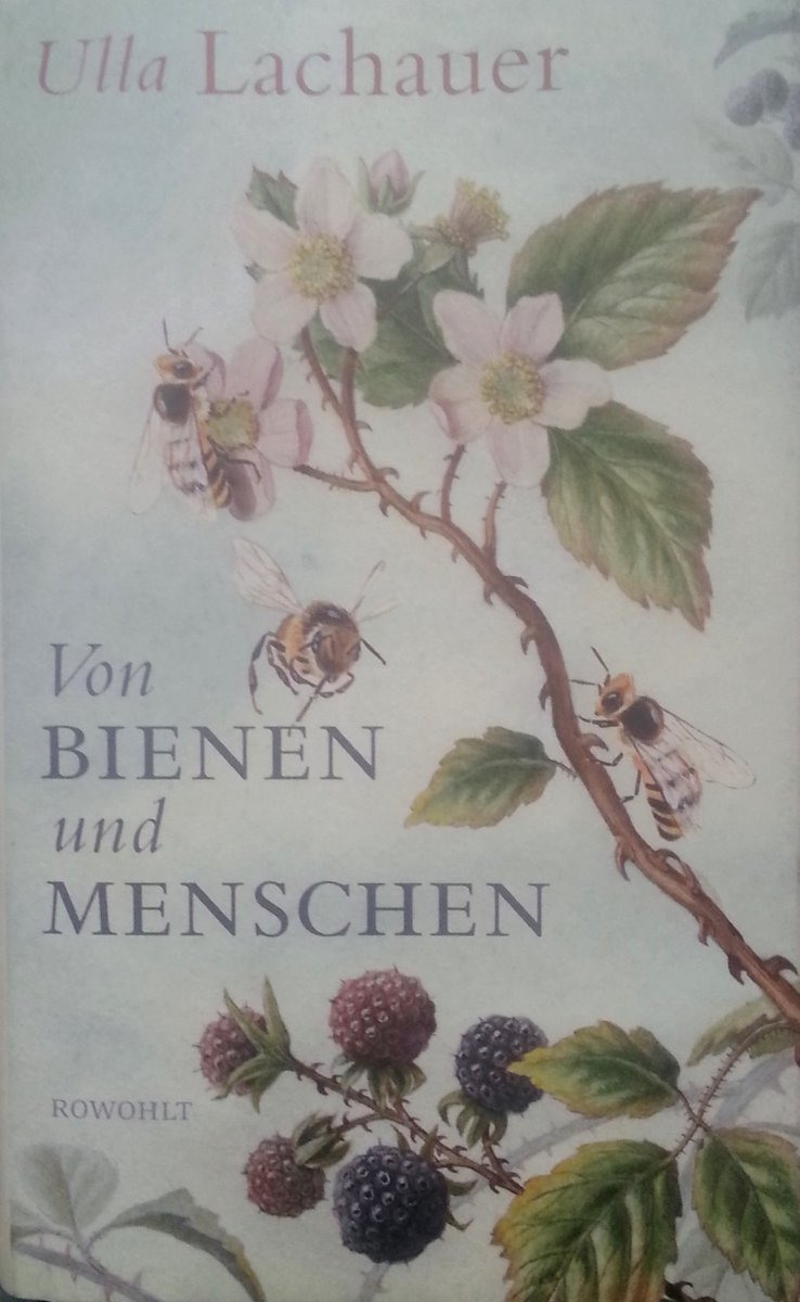 mliteraturwelt's tweet photo. Es summt und brummt...
@rowohlt
#Nature #Human #Bee #Storys #Beemaster #Europe https://t.co/aTBAfD4ZxA https://t.co/UOGa1JKpxw