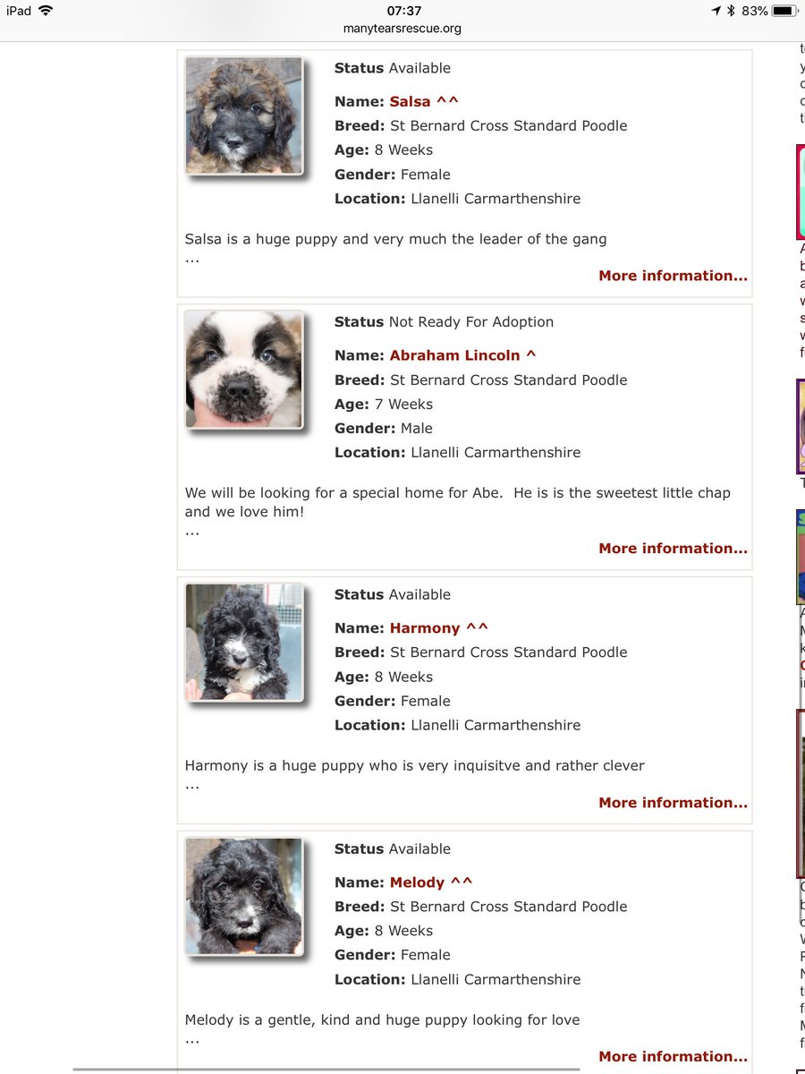 fi gps collar review