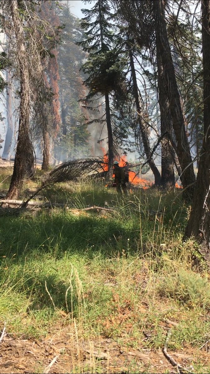 VentanaHotshots's tweet image. VHC has timed out and been released from the #LionFire will be off for some R&amp;amp;R for a few days!!