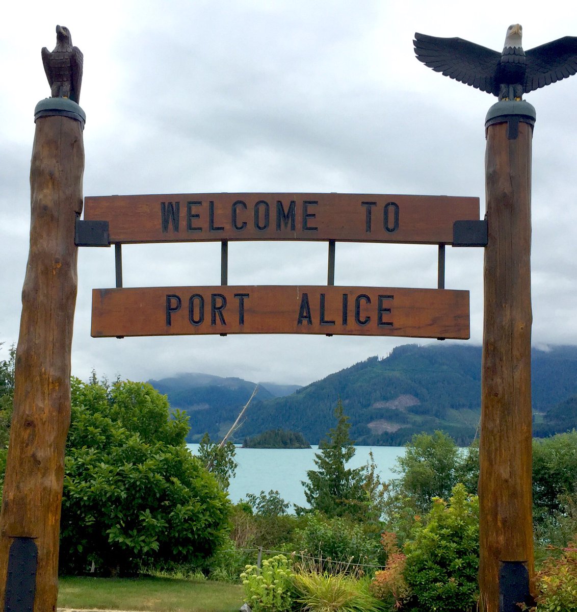 Most memorable thing about Port Alice was the Turquoise water. Found out it’s caused by algae bloom w plankton bioluminescent in it. This type of algae’s mirror like, reflective, & can be seen from outer space. Read in North Island Eagle & nerded out #portalice #vancouverisland