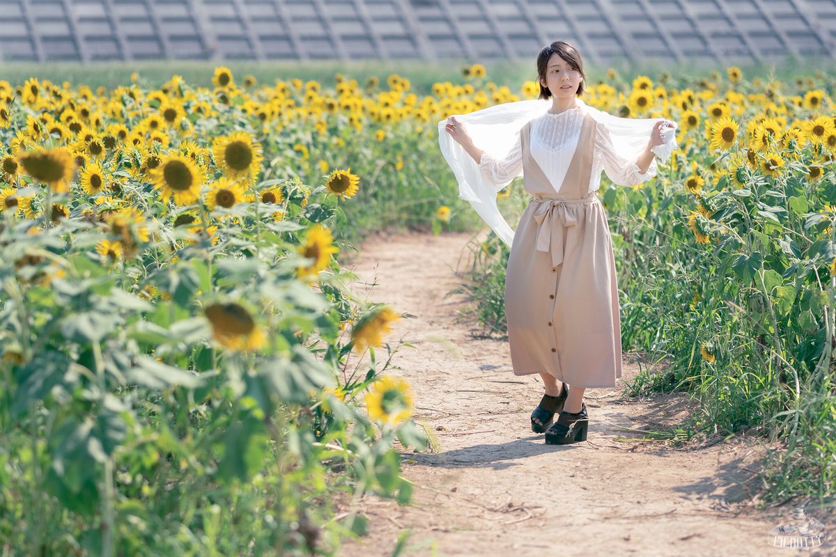 花の海 Twitter Search Twitter