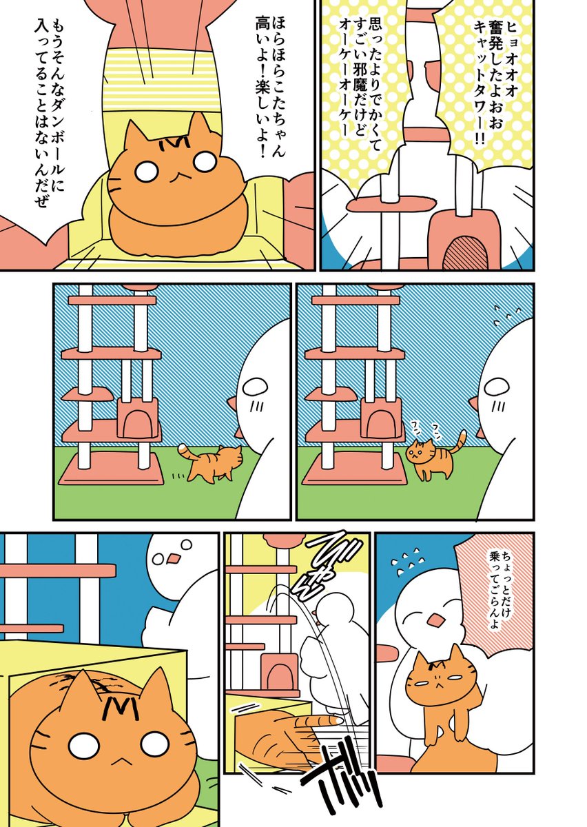 ねことはとの日常／マイベストボックス 