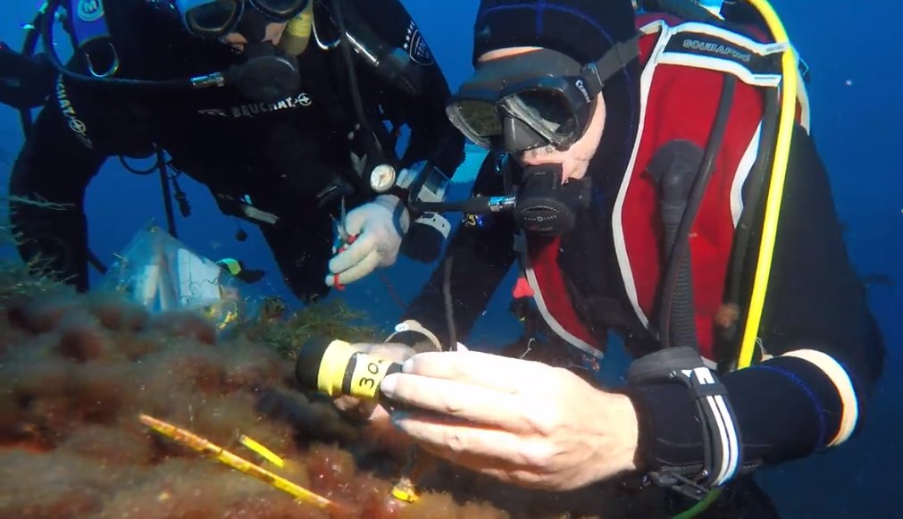 Capturing fine scale varaibility in the oceans is essential to enhance our ability to understand current and future impacts of climate change on marine biodiversity. 
👉 nature.com/articles/d4158…
<a href="/AmandaEBates/">Amanda E Bates</a> <a href="/DanSmale1/">D Smale</a> <a href="/rilovg/">Gil Rilov</a> @aquanaut1967 @tamarguyhaim @NatureNews