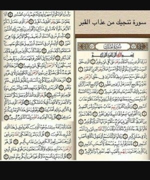 مروان العِماري | VAT tweet media