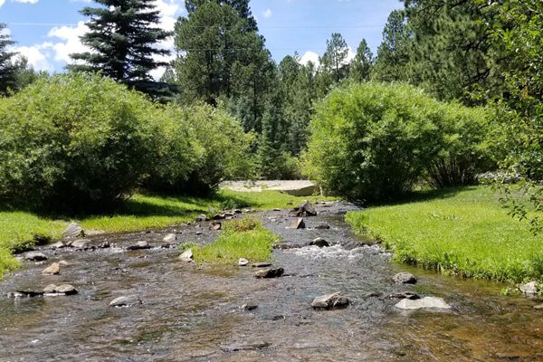 Greer Lodge Resort Cabins On Twitter Traveltuesday Hear And