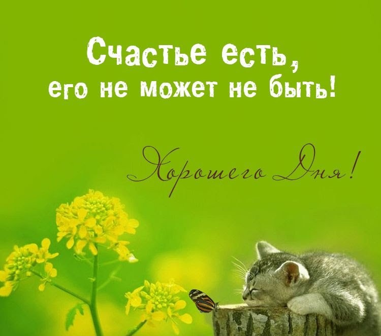 Хорошего дня и отличного настроения картинки прикольные, прикольные крысами открытки