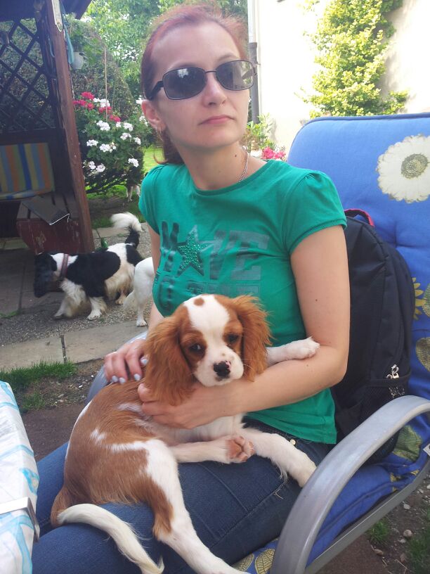 Nanukchen's tweet photo. #ThrowbackThursday to my #GotchaDay which was on Saturday. 5 years now with mom! 😍😍😍😍😍 What a lovely bunch of pals me found 😘😘😘😘😘 Thank you for all!!! #nofilter #augustrocks #theresmoretocome https://t.co/5QuDAq5QBb