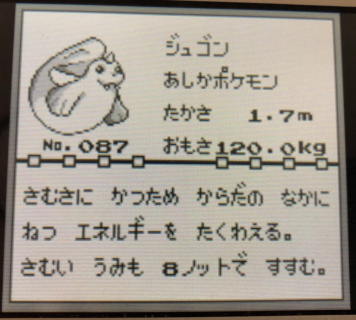 ポケモンプレイ日記