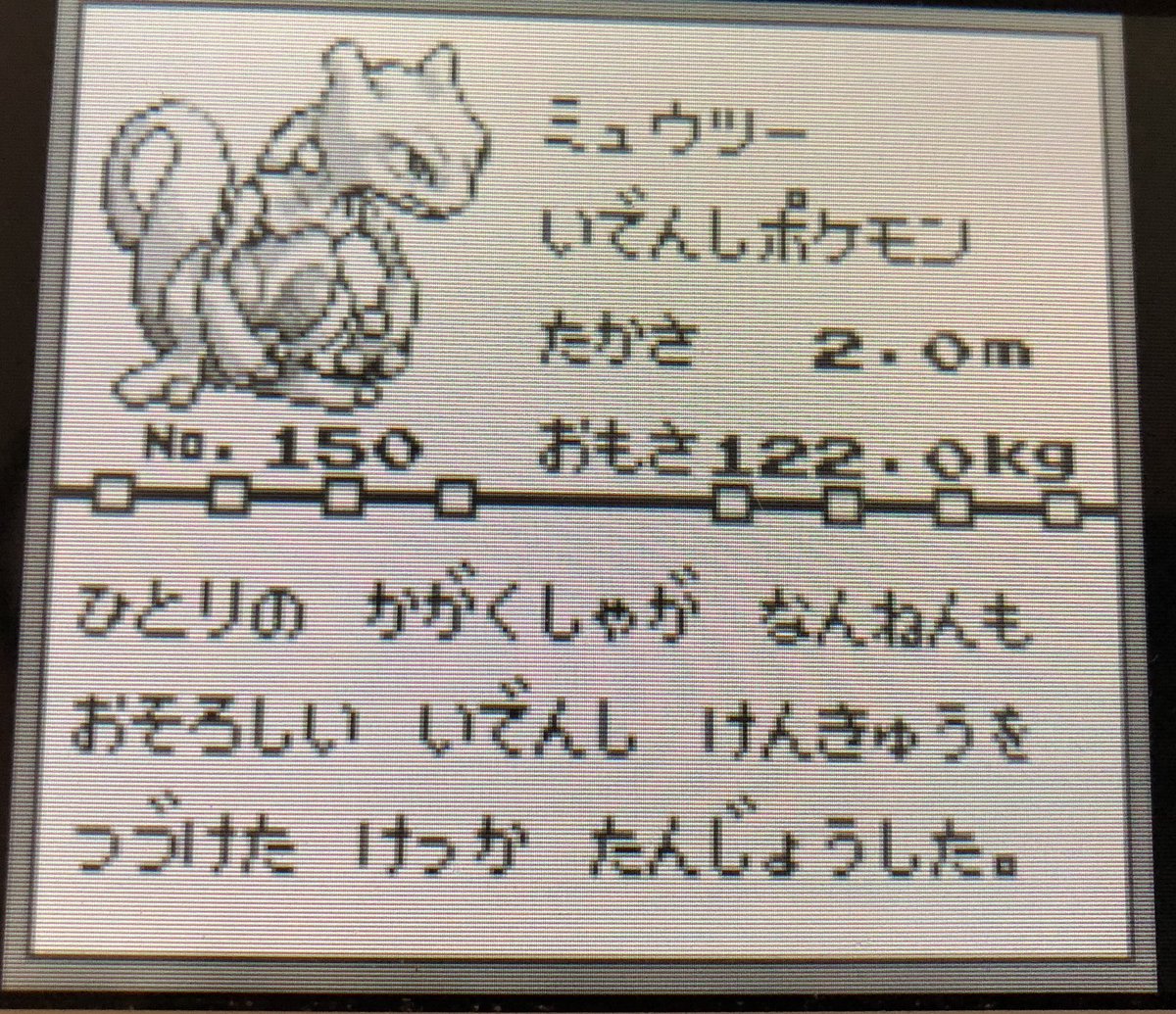 ポケモンプレイ日記
