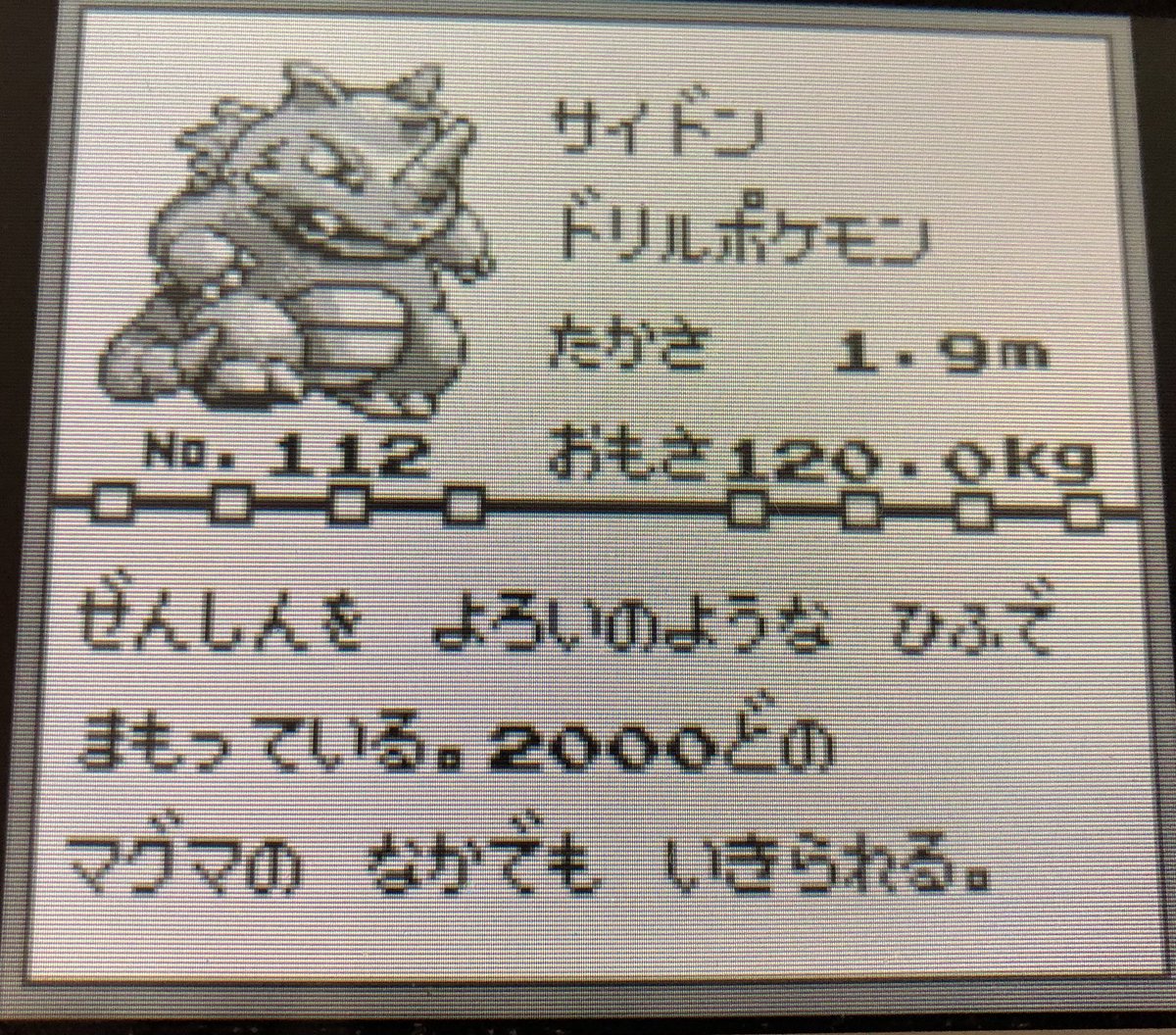 ポケモンプレイ日記