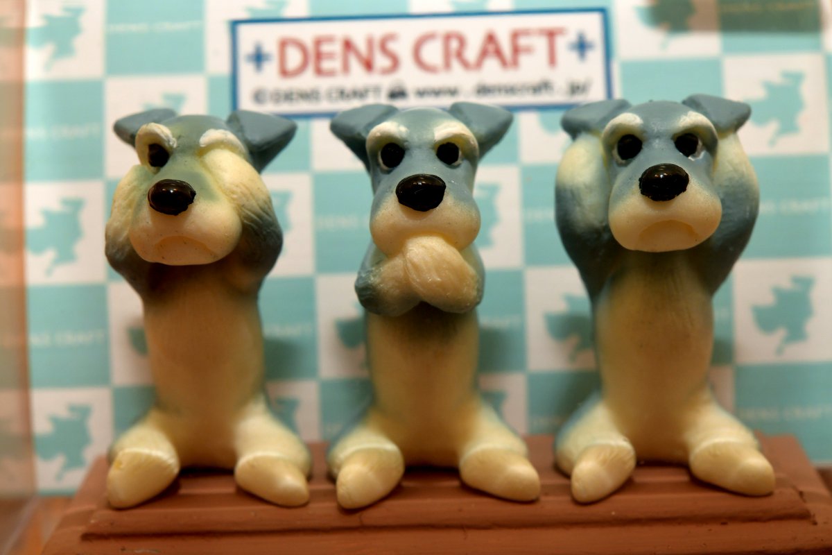 Dpapa1020's tweet photo. うちのシュナグッズ😁 #ミニチュアシュナウザー #スタンダードシュナカット #DENSCRAFT https://t.co/mqSHF0P8QN