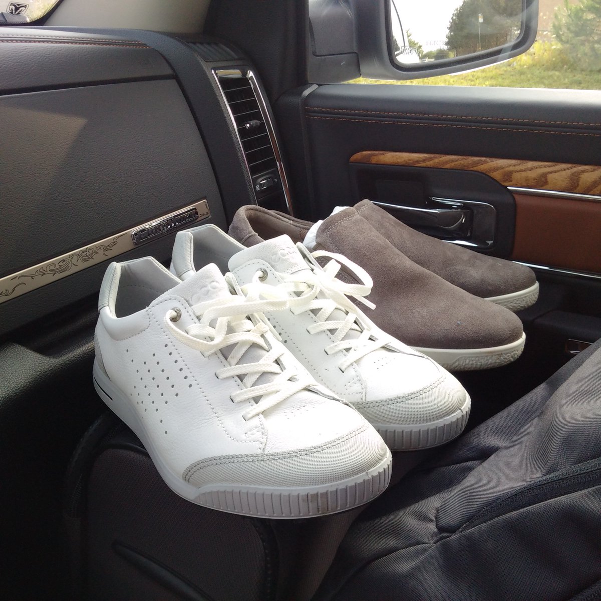 Hitting the road for SS19 bookings. Can't decide which pair to wear, so bring both #eccogolf #brokeragelife #skylex