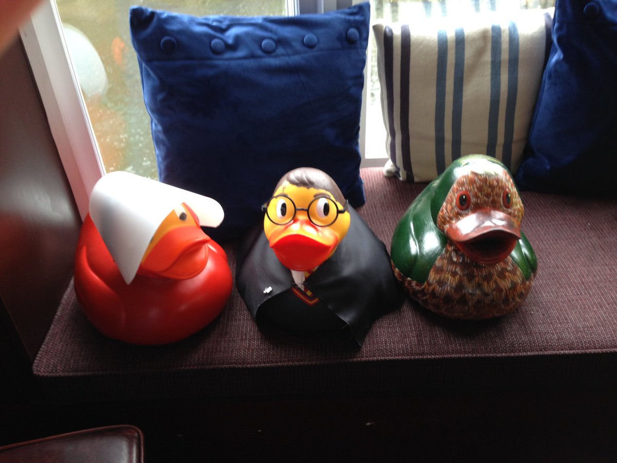 bookshopduck's tweet image. Three bookducks, Handmaiden, Potter and Darwin duck. #gndr2018 #tweetup #ducks