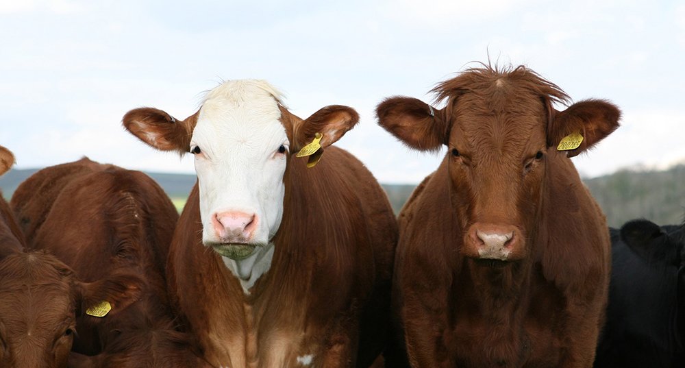 Aidan J. Connolly (@ajconnolly1) on Twitter photo Thanks <a href="/MaeveCowley/">MaeveCowley</a> for the interview - turned into a nice #Dairy article on #iot #technologies in <a href="/IoTEvolution/">IoT Evolution World | AIoT World Expo (Feb 2026)</a> goo.gl/LqpSfs Thanks <a href="/MaeveCowley/">MaeveCowley</a> for the interview - turned into a nice #Dairy article on #iot #technologies in <a href="/IoTEvolution/">IoT Evolution World | AIoT World Expo (Feb 2026)</a> goo.gl/LqpSfs