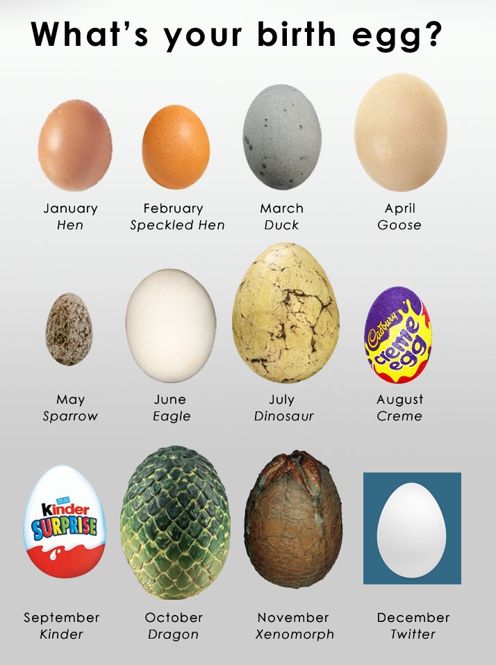 Arena Flowers tweet media