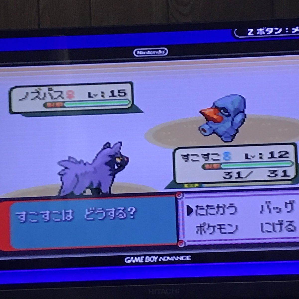 ポケモンエメラルド