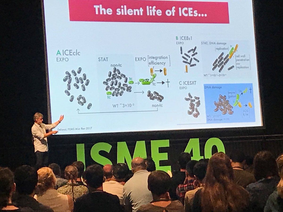 CiccareseDavide's tweet photo. The fascinating story of the silent life of ICE elements. Amazing science by JVDM #isme17 #isme2018 https://t.co/KsrE5PsIQm