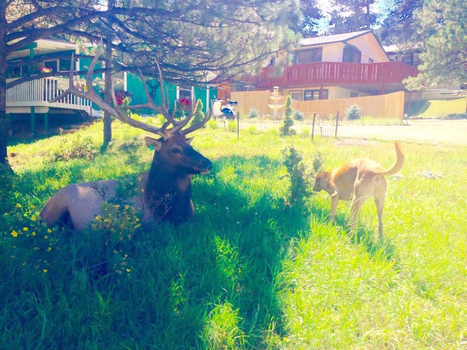 Brandon Beaty (@brandonsbeaty) on Twitter photo 