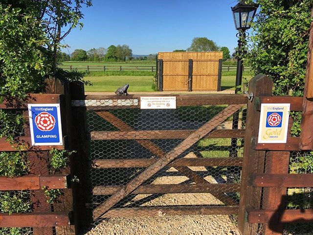 morndyke's tweet photo. The gate! 🌺💚🍏 https://t.co/GN0bnhGYMh
