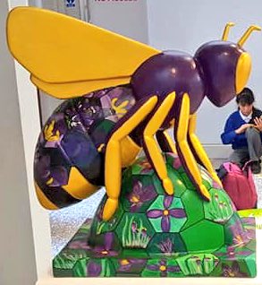 In September @awah_ofbrow_bee will be going to #Manchester festival with the Museum, start of an epic journey to raise awareness of @EndPolioNow with  @OFBrowPrimary and @AWAH_Alty #purple4polio 
#Altrincham @AltairQuarter @NWIBofficial @RotaryNW @altrotary @altrinchamtoday