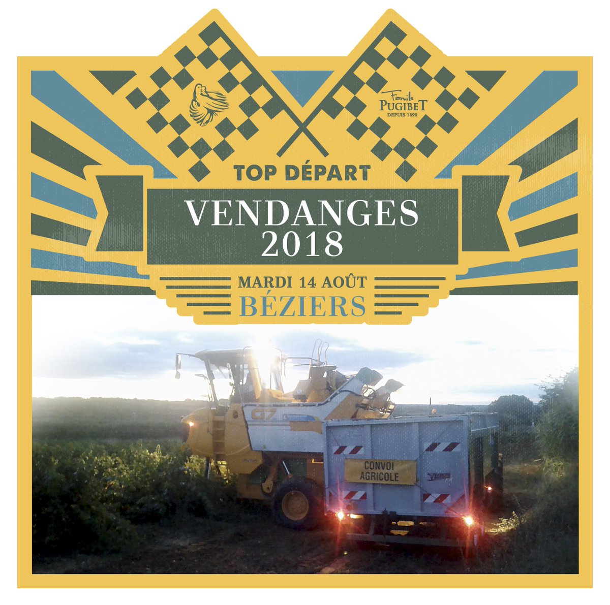 En route vers les nouveaux millésimes....
Les vendanges ont démarré mardi 14 août dernier à la Colombette, c'est à peine plus tard que l'an passé et semblent tout aussi prometteuses...