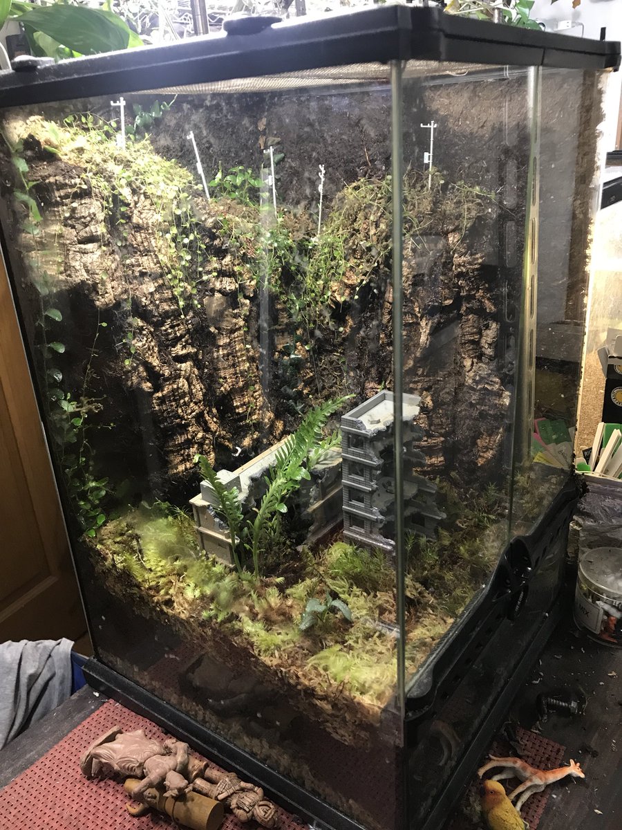 苔リウム　完成品　レイアウト品　廃墟　神社 Diorama Terrarium 