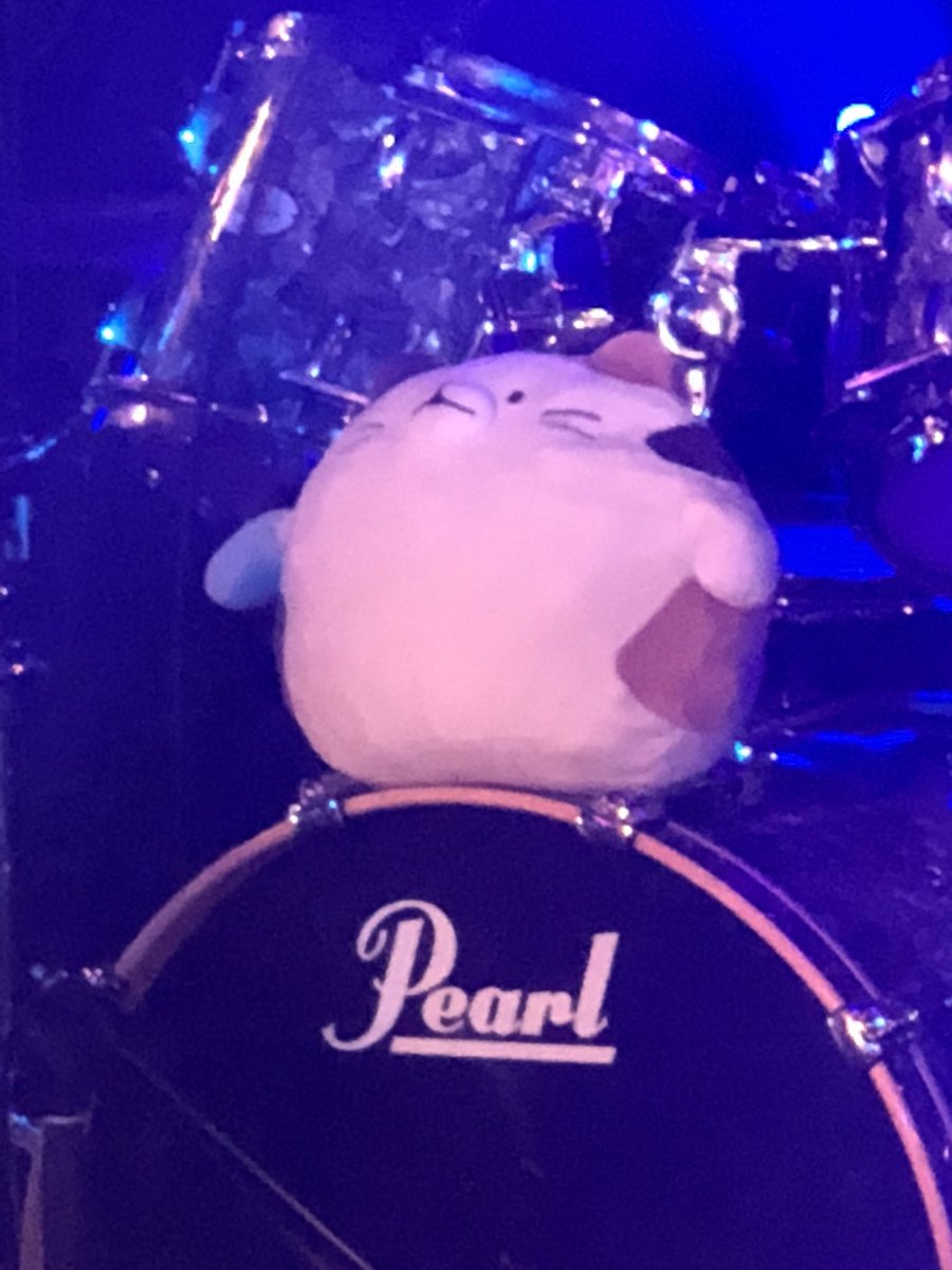 BASSONTOPTNJ's tweet image. The caT始まりました！！
ぬいぐるみとのギャップのあるサウンドで魅了しています！！
#ThecaT #BEYOND #BOTアメ村 #BOT天王寺