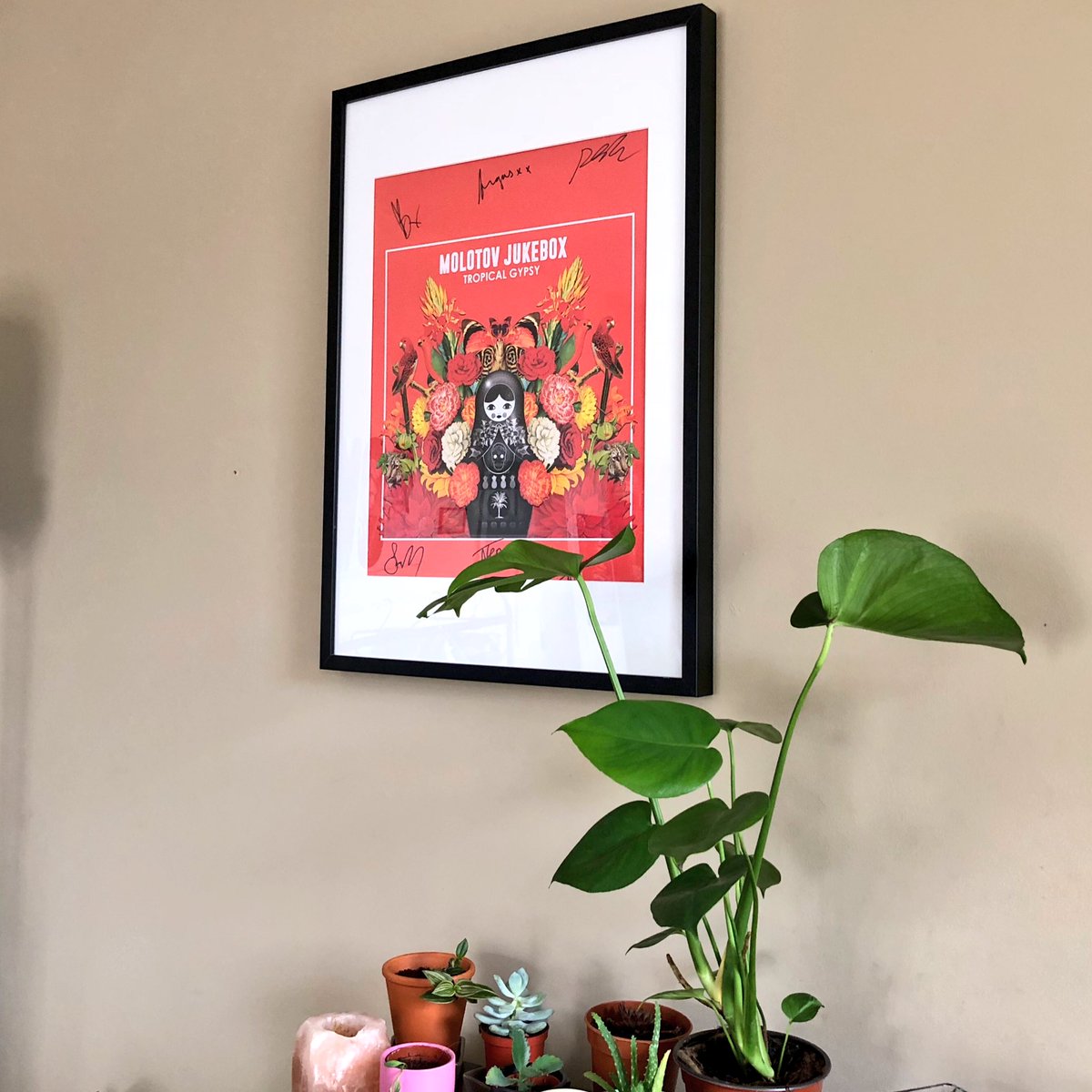 My new #swisscheeseplant is perfect next to my @Molotov_Jukebox #tropicalgypsy poster 👌🍍

Looking forward to seeing them next month!