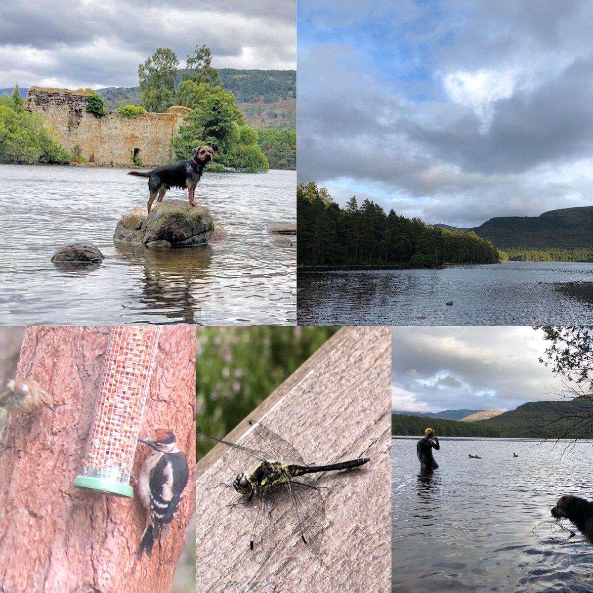 wildscotplace tweet media