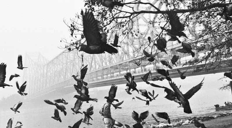 meonly16's tweet photo. The history of "the making of Howrah Bridge" is very interesting.....read more
https://t.co/2WoFGihBig
#howrahbridge #Kolkata #bengalbuzz https://t.co/1Z5hnhLaJD