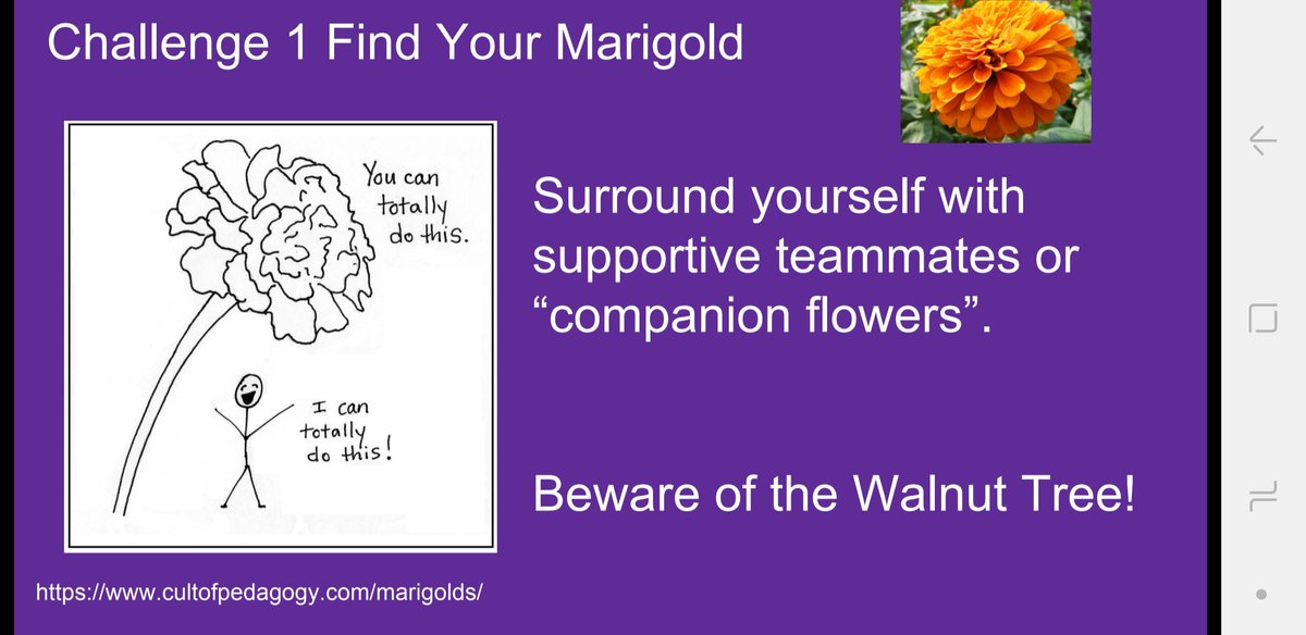 Freda Clifton tweet media