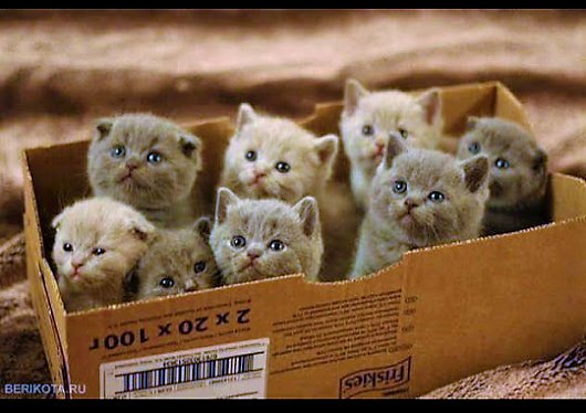 <a href="/taxi_ede/">VIEdeTAXI</a> <a href="/CoquetteEric/">NINIE-du HAINAUT (Nicole)</a> <a href="/Edi738/">*!!!</a> <a href="/starseed009/">Star Seed</a> <a href="/KellyMaryJ/">Kellymary John</a> <a href="/AAvallones/">Anita AV</a> <a href="/Rimiquen_DSM/">Rimiquen</a> <a href="/CHARLIN76375435/">CHARLINE</a> <a href="/ladevita12/">Anna Gaudreault</a> @PaulRossPR <a href="/EliteInmobiliar/">Rebel with a cause</a> <a href="/Kamel11821020/">Kamil</a> <a href="/seb0104/">Seb010</a> <a href="/TAXICABria/">TAXI🚖CAB ͬ ͥ@ 🚕</a> <a href="/BermaoAbder/">Abder.BERMA</a> <a href="/pernav31/">Alfonso</a> <a href="/henniuk/">henni</a> <a href="/CSahinn34/">cemal sahin</a> <a href="/Recepet91573190/">Recepcetin_69</a> <a href="/ToibibouAhmadi/">Toibibou AHAMADI</a> <a href="/ali_alshehhi75M/">علي الشحي</a> <a href="/astacanelo/">El Canelo</a> <a href="/sedatceylann/">Sedat Ceylan</a> <a href="/RGPMA/">🔹René Gabriel 🇵🇦</a> <a href="/AQUARIUS_8888/">💙SERGIO💙</a> <a href="/chasseurdimage1/">C.D.I.A</a> <a href="/robtropper/">Robert Tropper</a> <a href="/ErPervezN/">Er. Pervez</a> @AGHHA1243 @Rusty82Fields Bonjour Anny,, And family 😘😘😘