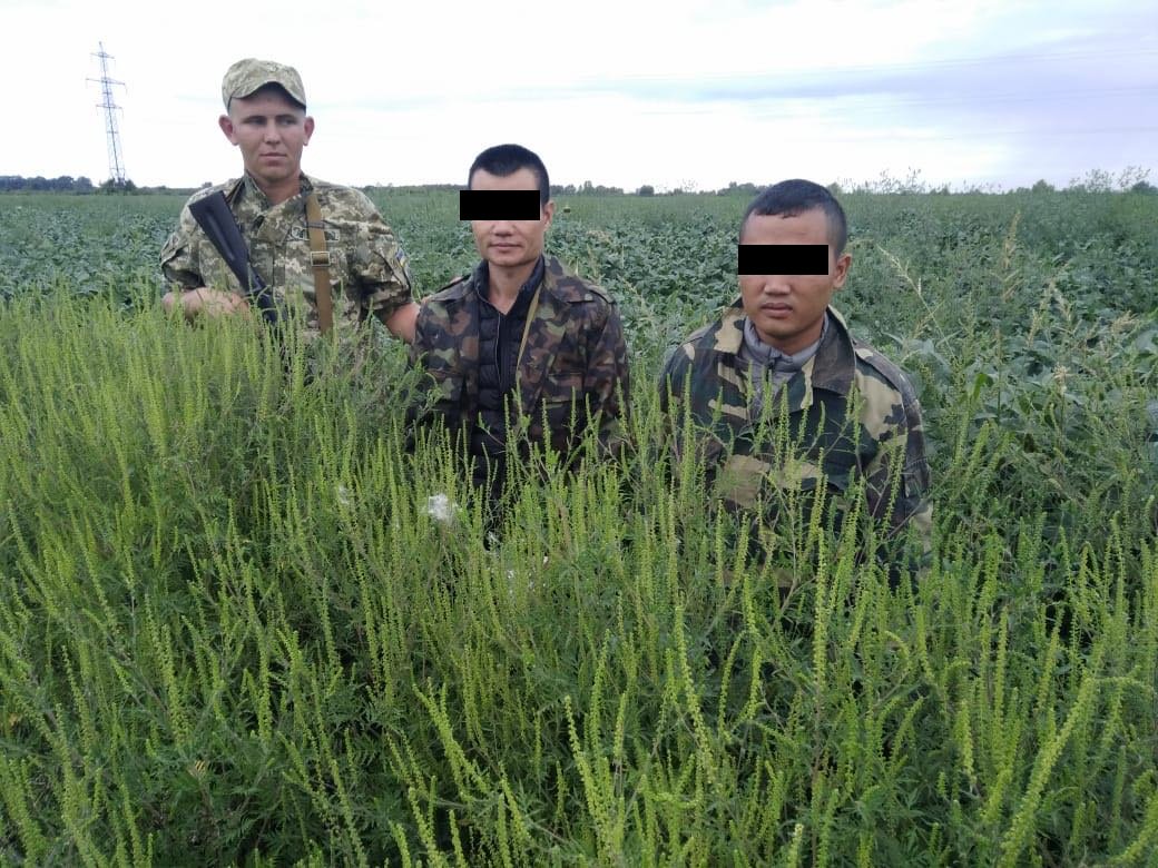 Украинский политзаключенный Гриб начал получать письма после этапирования в Ростов-на-Дону, - отец - Цензор.НЕТ 9722