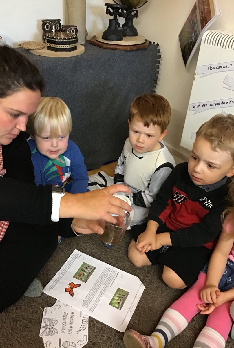 snapatworth's tweet photo. Wow, our Caterpillars have transformed into a Chrysalis 🐛 Now to watch the process of them grow into Butterflies 🦋 Pre School think they will be silver, red, blue, green and multicoloured. #wholeprocess #butterflies #theworld @insectlore https://t.co/o4zrRbICzx