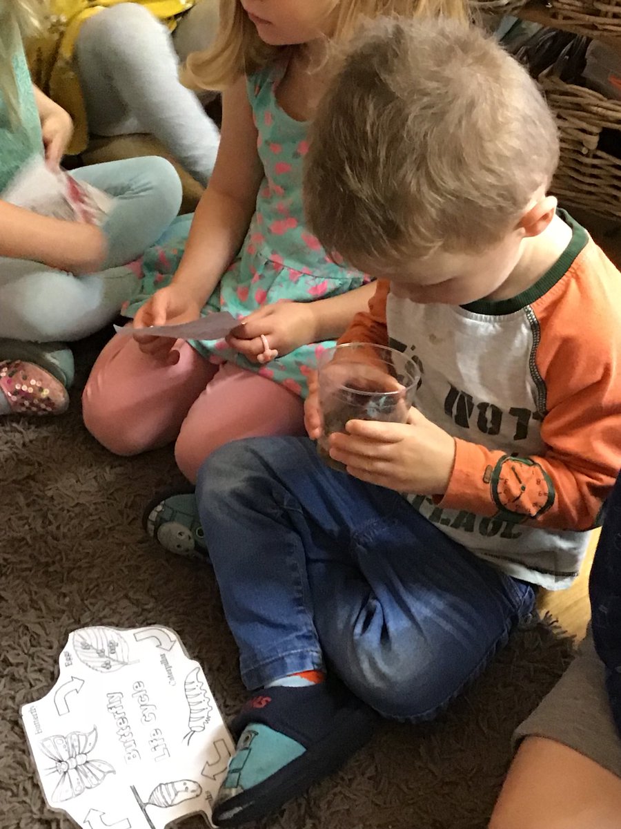 snapatworth's tweet photo. Wow, our Caterpillars have transformed into a Chrysalis 🐛 Now to watch the process of them grow into Butterflies 🦋 Pre School think they will be silver, red, blue, green and multicoloured. #wholeprocess #butterflies #theworld @insectlore https://t.co/o4zrRbICzx