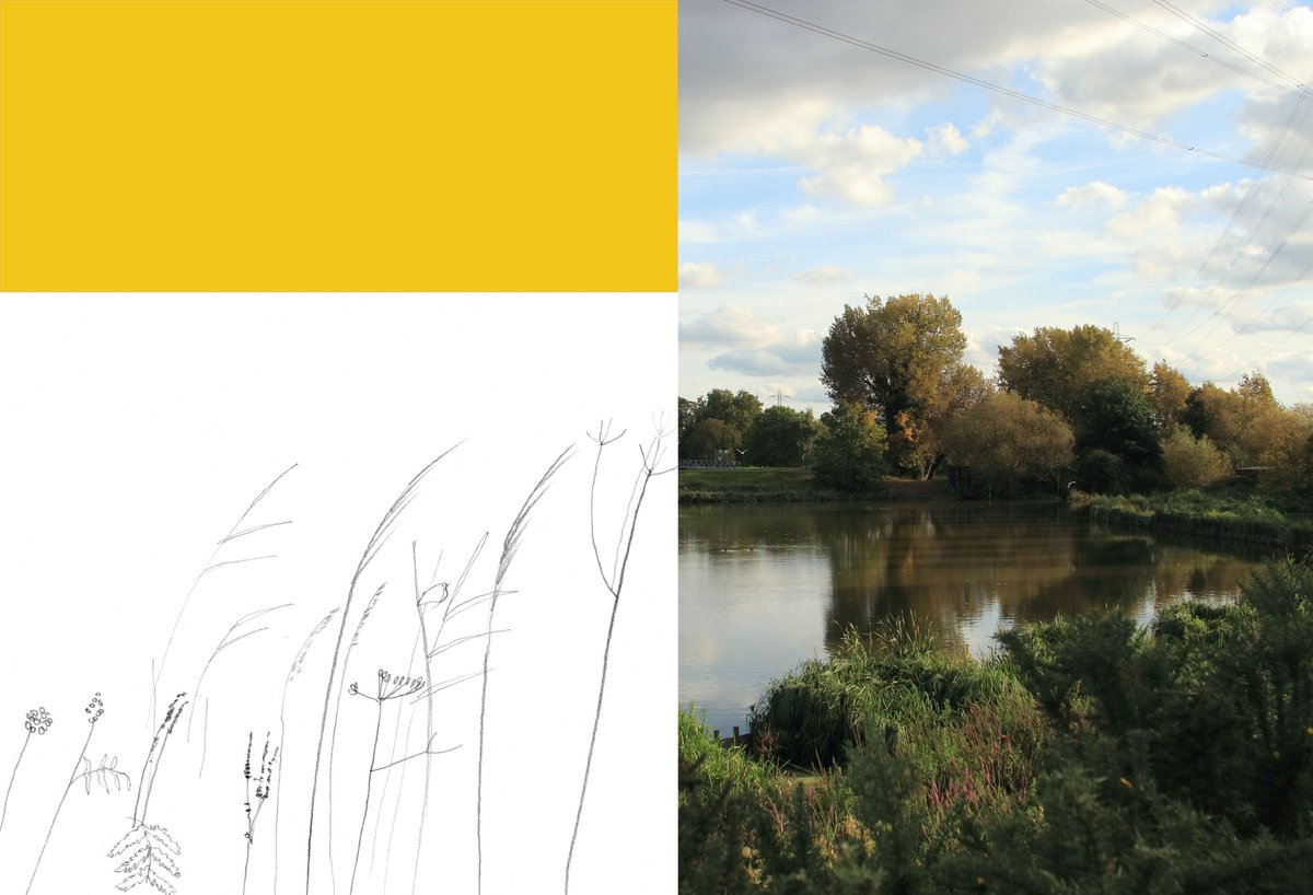 RachelMLillie's tweet photo. What makes a view? On Sunday 16th September I'll be asking this question while we journey around the landscape of @E17Wetlands exploring how we 'see' through drawing. Really looking forward to it! Book your tickets here; https://t.co/OUB6TBGj0R #drawingworkshop #landscape #E17 https://t.co/FUEqs6tjdK