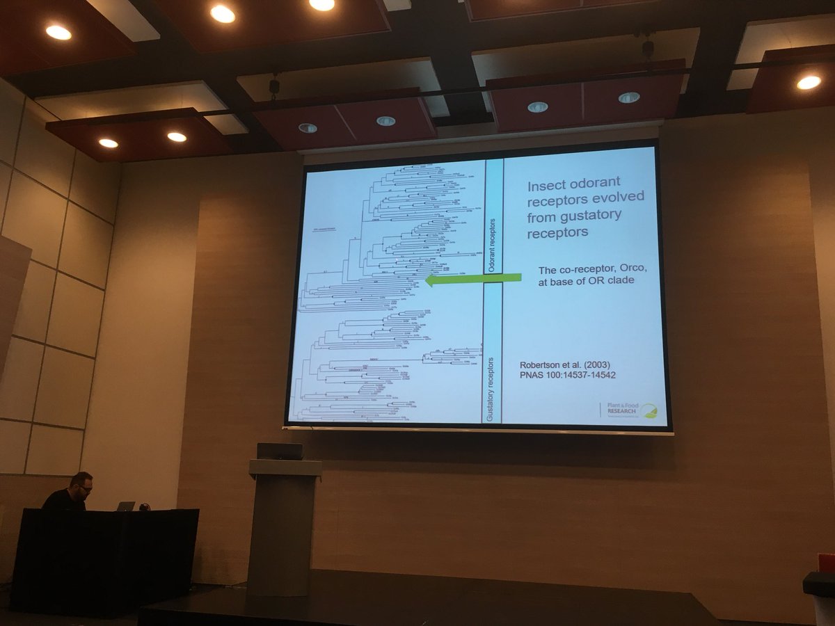 Toby_Bruce's tweet photo. Richard Newcomb: evolution of insect olfactory receptors #isce2018 https://t.co/4WRCwMuWQZ
