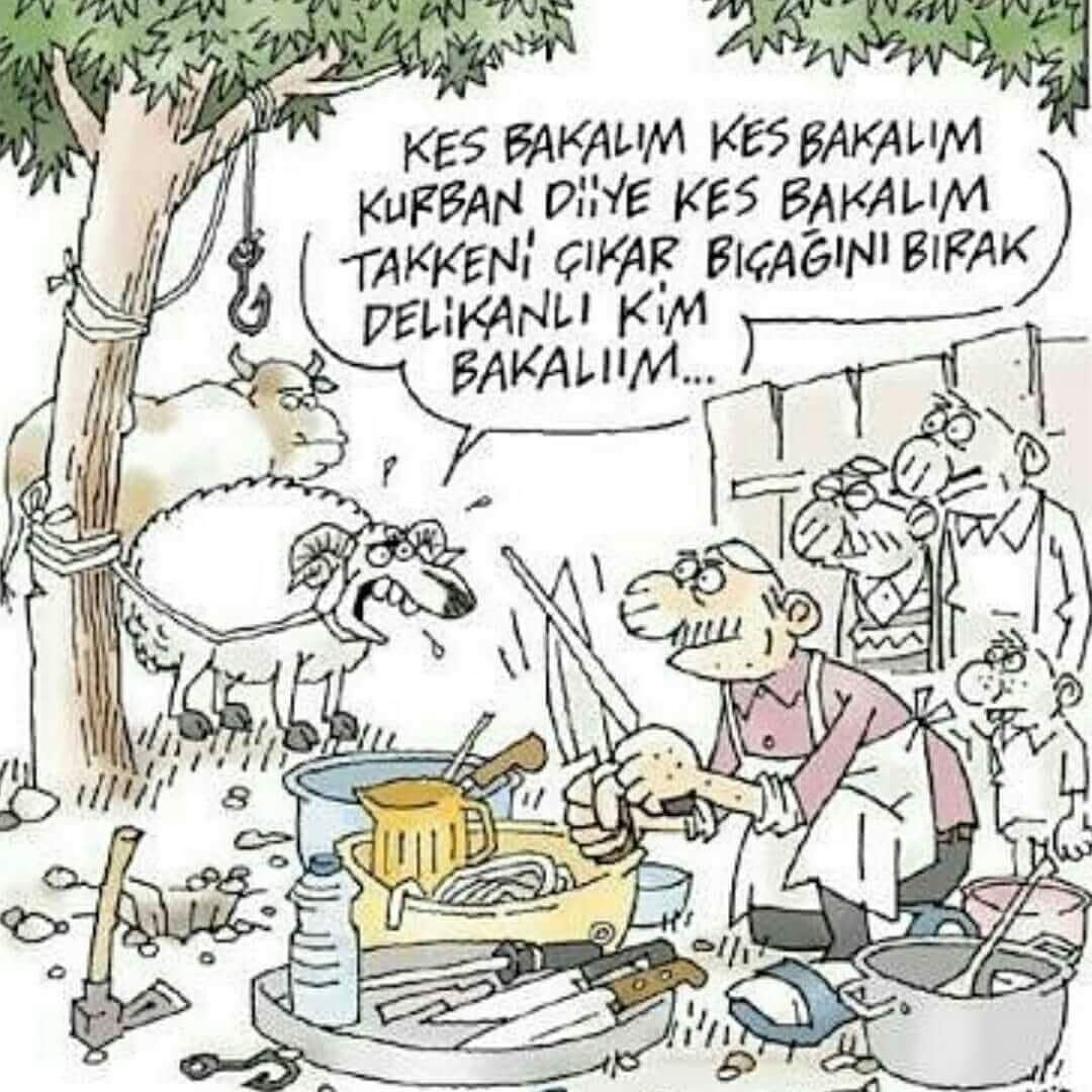 Mizah...
Kes bakalım.