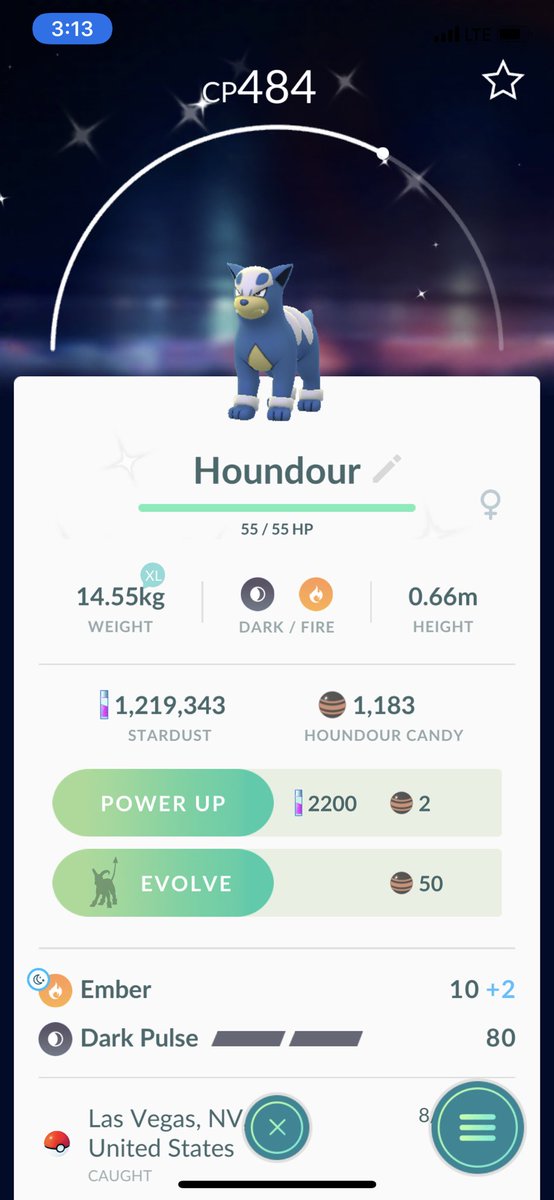 FrigusReamerus's tweet photo. the late night grind is soooo worth it 😍😍 #PokemonGo #ShinyHoundour #GotchaCatch https://t.co/uNLMdTKcSJ