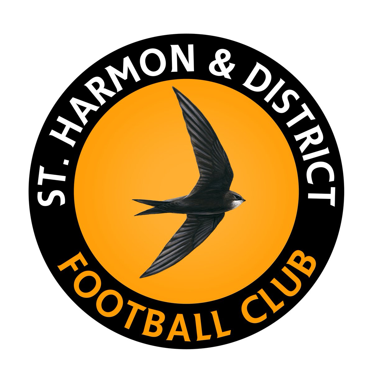 TomLewisJones's tweet photo. Looking forward to my first league game for St. Harmon this Saturday, returning to the Bryn. New season, new challenge. All the best to @RhayaderTownFC for the coming season. Good young team with a promising future ⚽️ @stharmon123 https://t.co/U7LKHYpH1U