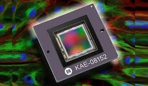 electronspecde's tweet photo. Neuer #EMCCD-#Bildsensor bringt verbesserte #NIR-#Bildqualität @framosimaging https://t.co/Vi8SdqgRLP https://t.co/FxcyBqqCb4