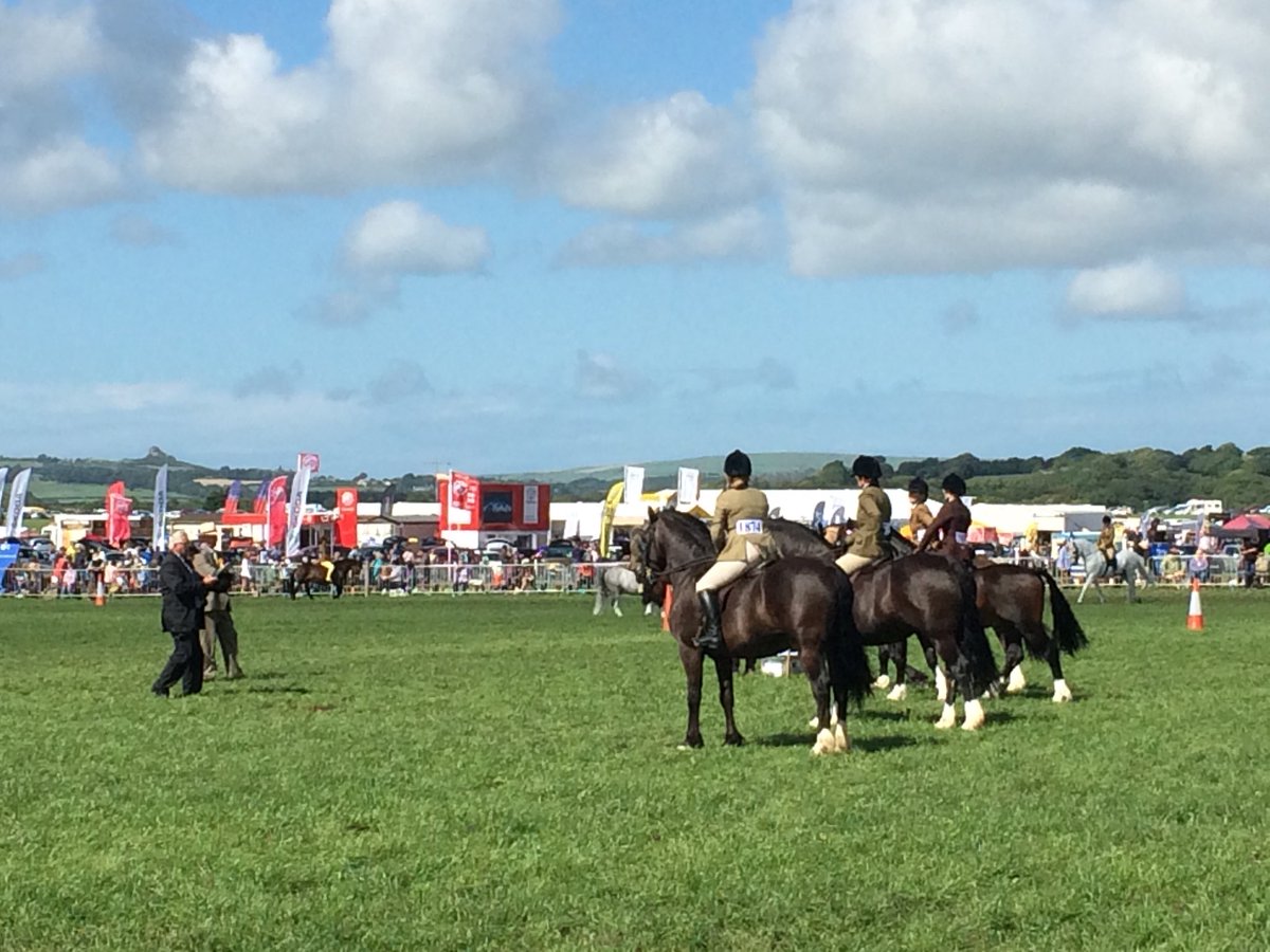 sazradio's tweet photo. A member of the #pembsshow organising committee has told me that the horse involved in yesterdayโs incident did survive, dispelling rumours on social media. The show has continued today. More now @BBCRadioWales https://t.co/zVmjPkmrah