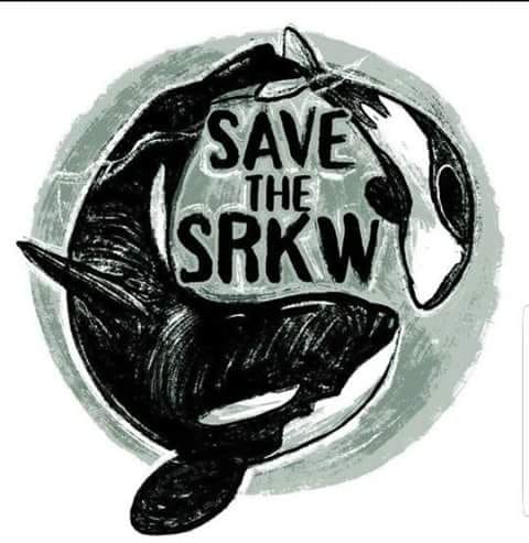 TWEET STORM!!! Please Tweet For Starving #Blackfish &amp; Condemned Sea Lions! TWEET SHEET: sites.google.com/site/tilikuman… #BreachTheDams #FreeTheSnake / <a href="/DolphinPaige/">Paige Nelson Ⓥ</a>