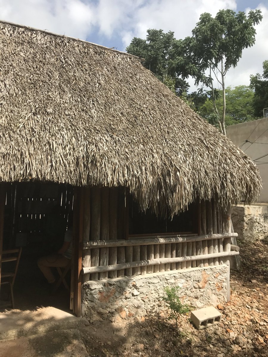 horacio_rv's tweet photo. ¡Muchas felicidades a la #REPSERAM por haber obtenido el Premio Nacional al Mérito #Forestal 2018 en la categoría de Sociedad Civil! https://t.co/jbUCTPxvgT En @Mexico_TNC estamos muy orgullosos de contar con socios como ustedes para promover paisajes rurales sostenibles #RITER https://t.co/xFbcxfX8pj
