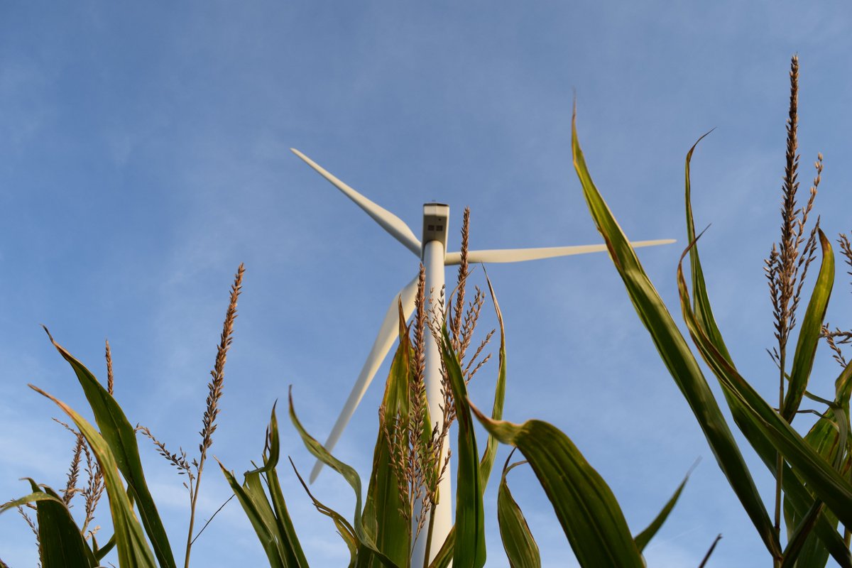 USCleanPower's tweet photo. #Fortune500 companies are buying #windpower because it makes good financial sense: "[A]ctivity would not approach current levels if there were no opportunity for long-term savings." https://t.co/8lBCMaiKxt https://t.co/NcRaUx3sfB
