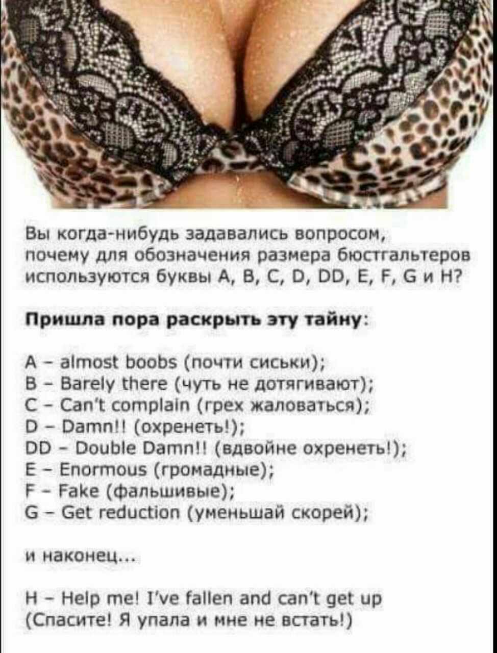 Про сиськи загадка