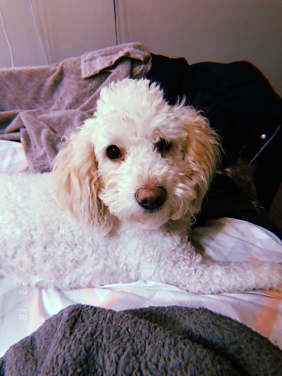 maggzcampos's tweet image. 