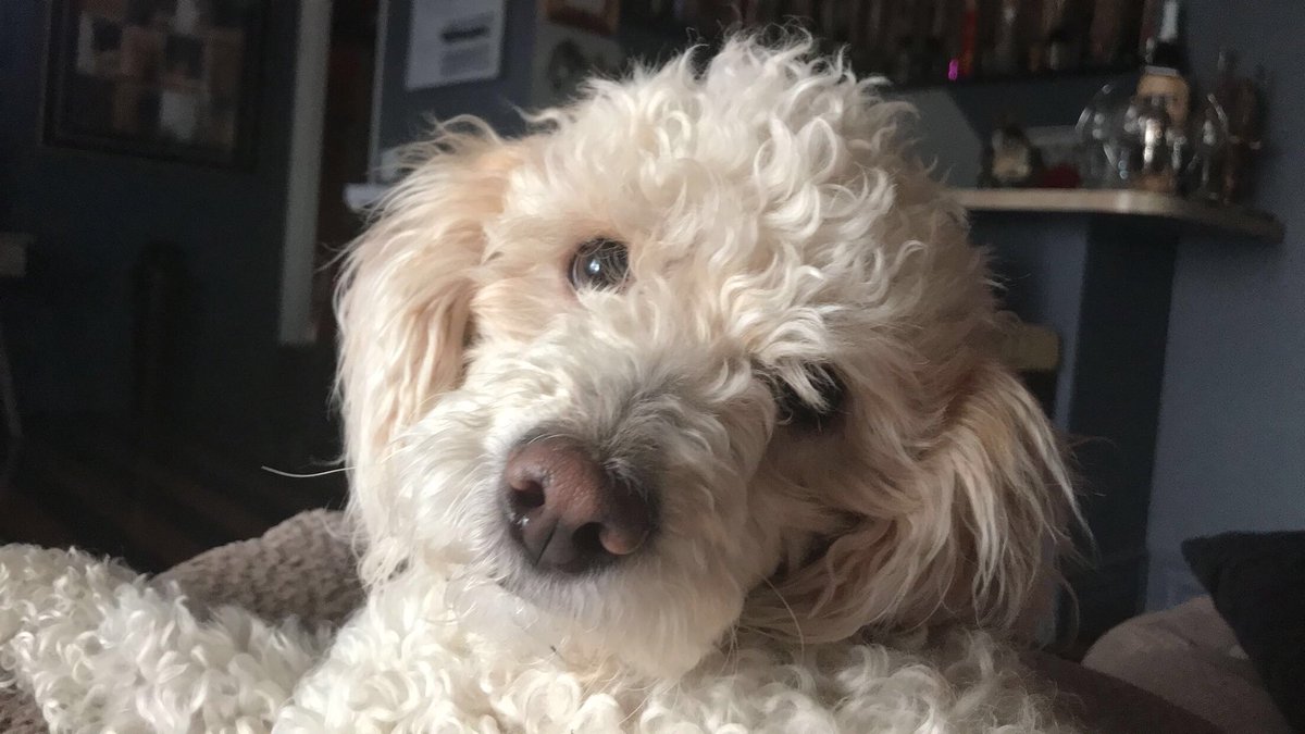 maggzcampos's tweet image. 