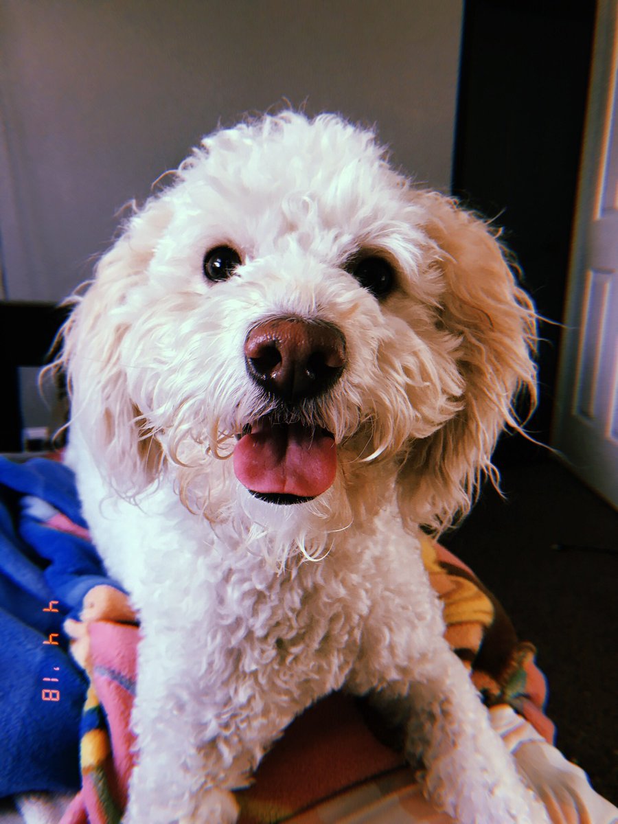 maggzcampos's tweet image. 